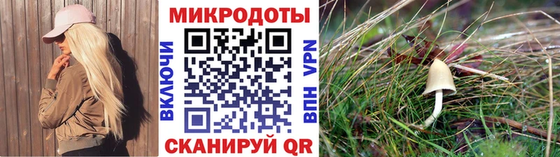 даркнет сайт  Томмот  Псилоцибиновые грибы GOLDEN TEACHER 